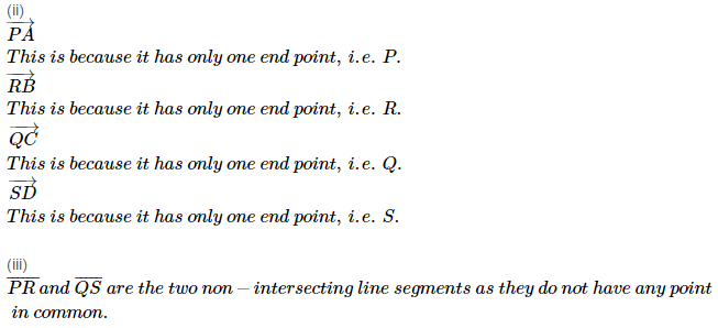 line Segment Ray and Line RS Aggarwal Class 6 Maths Solutions Ex 11A 3.2
