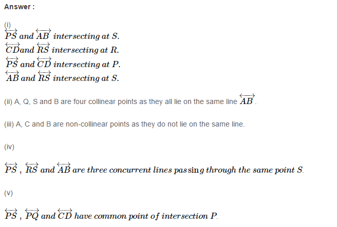 line Segment Ray and Line RS Aggarwal Class 6 Maths Solutions Ex 11A 5.1