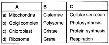 Plus One Botany Chapter Wise Questions and Answers Chapter 5 Cell The Unit of Life 2M Q29