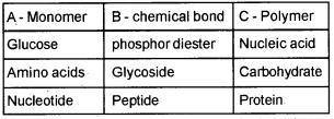 Plus One Zoology Chapter Wise Questions and Answers Chapter 4 Biomolecules 1M Q13