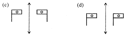 ML Aggarwal Class 6 Solutions for ICSE Maths Chapter 12 Symmetry Objective Type Questions 15