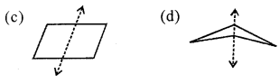 ML Aggarwal Class 6 Solutions for ICSE Maths Chapter 12 Symmetry Objective Type Questions 8