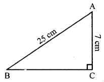 ML Aggarwal Class 7 Solutions for ICSE Maths Chapter 11 Triangles and its Properties Ex 11.5 Q2.1