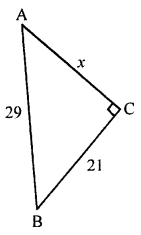 ML Aggarwal Class 7 Solutions for ICSE Maths Chapter 11 Triangles and its Properties Ex 11.5 Q3.2