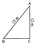ML Aggarwal Class 7 Solutions for ICSE Maths Chapter 11 Triangles and its Properties Ex 11.5 Q5.1