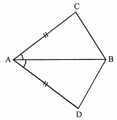ML Aggarwal Class 7 Solutions for ICSE Maths Chapter 12 Congruence of Triangles Ex 12.1 Q12.1