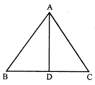 ML Aggarwal Class 7 Solutions for ICSE Maths Chapter 12 Congruence of Triangles Ex 12.1 Q5.1