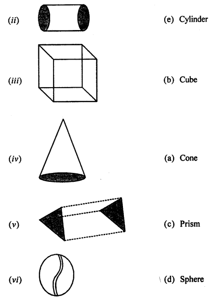 ML Aggarwal Class 7 Solutions for ICSE Maths Chapter 15 Visualising Solid Shapes Ex 15.1 Q1.4