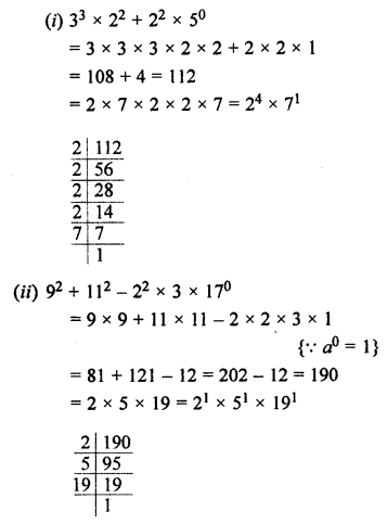 ML Aggarwal Class 7 Solutions for ICSE Maths Chapter 4 Exponents and Powers Ex 4.2 Q13.1
