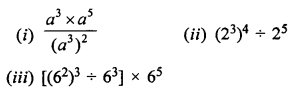 ML Aggarwal Class 7 Solutions for ICSE Maths Chapter 4 Exponents and Powers Ex 4.2 Q4.1