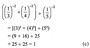 ML Aggarwal Class 8 Solutions for ICSE Maths Chapter 2 Exponents and Powers Objective Type Questions Q4.2
