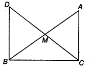 NCERT Solutions for Class 9 Maths Chapter 5 Triangles Ex 5.1.9