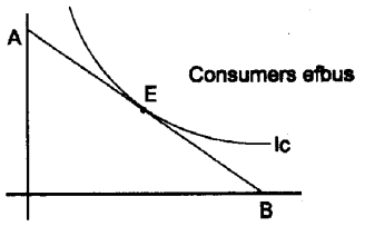 Plus Two Microeconomics Notes Chapter 2 Theory of Consumer Behaviour 4