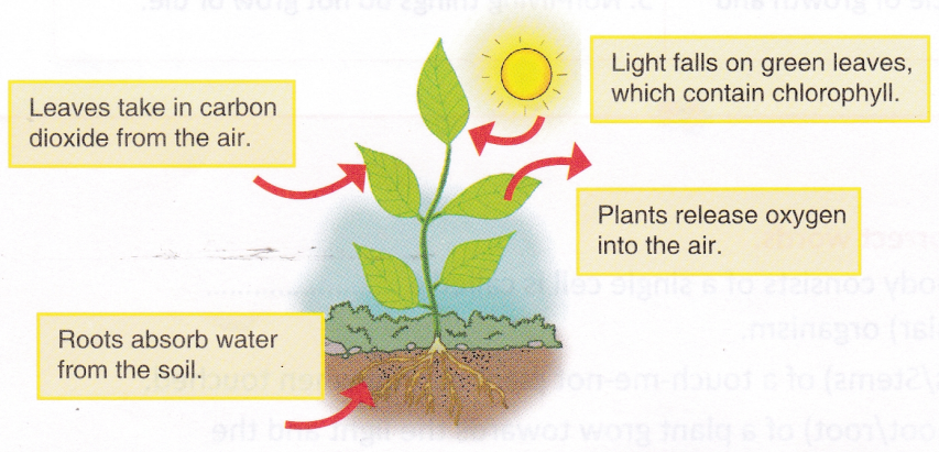 What is meant by Biotic Components in Environment 2