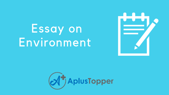 Essay on Environment 