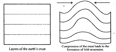 ICSE Solutions for Class 6 Geography Voyage Chapter 3 Major Landforms of the Earth 4