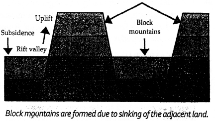 ICSE Solutions for Class 6 Geography Voyage Chapter 3 Major Landforms of the Earth 5