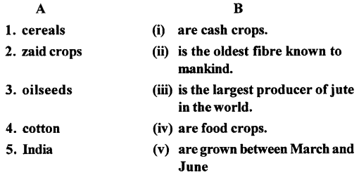 ICSE Solutions for Class 6 Geography Voyage Chapter 6 Major Crops 1
