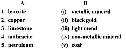 ICSE Solutions for Class 6 Geography Voyage Chapter 7 Minerals and Ores 1