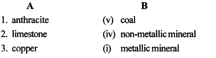 ICSE Solutions for Class 6 Geography Voyage Chapter 7 Minerals and Ores 2