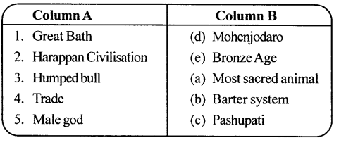 ICSE Solutions for Class 6 History and Civics - The River Valley Civilisations Indus Valley Civilisation 3