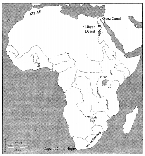 ICSE Solutions for Class 7 Geography Voyage Chapter 14 Africa Location, Area, Political & Physical Features 3