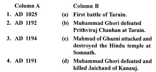 ICSE Solutions for Class 7 History and Civics - The Turkish Invaders 1