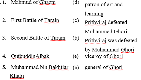 ICSE Solutions for Class 7 History and Civics - The Turkish Invaders 5