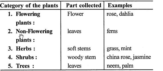 Selina Concise Biology Class 7 ICSE Solutions - Classification of Plants 2
