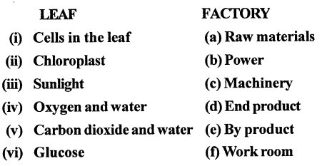 Selina Concise Biology Class 7 ICSE Solutions - Photosynthesis and Respiration 2