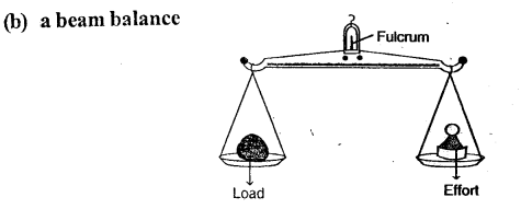 Selina Concise Physics Class 6 ICSE Solutions Chapter 4 Simple Machines 15