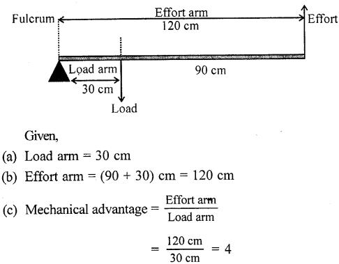 Selina Concise Physics Class 6 ICSE Solutions Chapter 4 Simple Machines 26