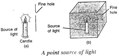 Selina Concise Physics Class 6 ICSE Solutions Chapter 5 Light 3