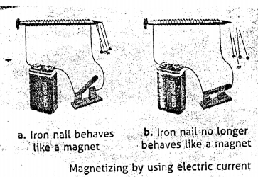 Selina Concise Physics Class 6 ICSE Solutions Chapter 6 Magnetism 10