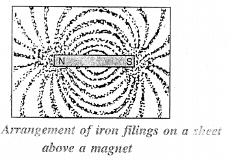 Selina Concise Physics Class 6 ICSE Solutions Chapter 6 Magnetism 6