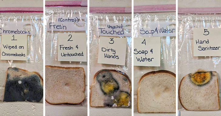 A Teacher Did an Experiment to Show the Power of Handwashing