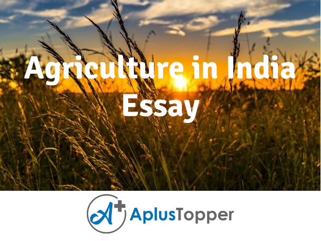 agriculture development in india essay 250 words