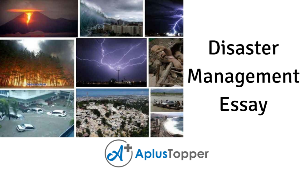 disaster preparedness essay conclusion