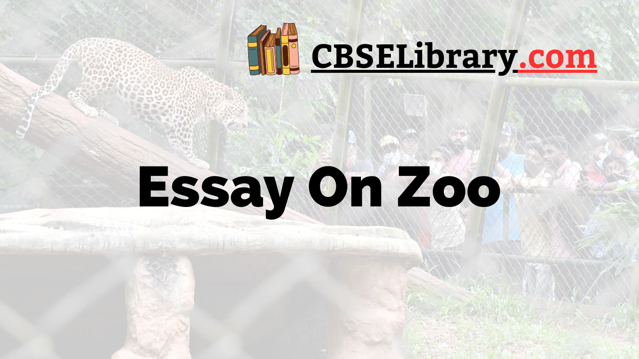 essay on zoo for class 6