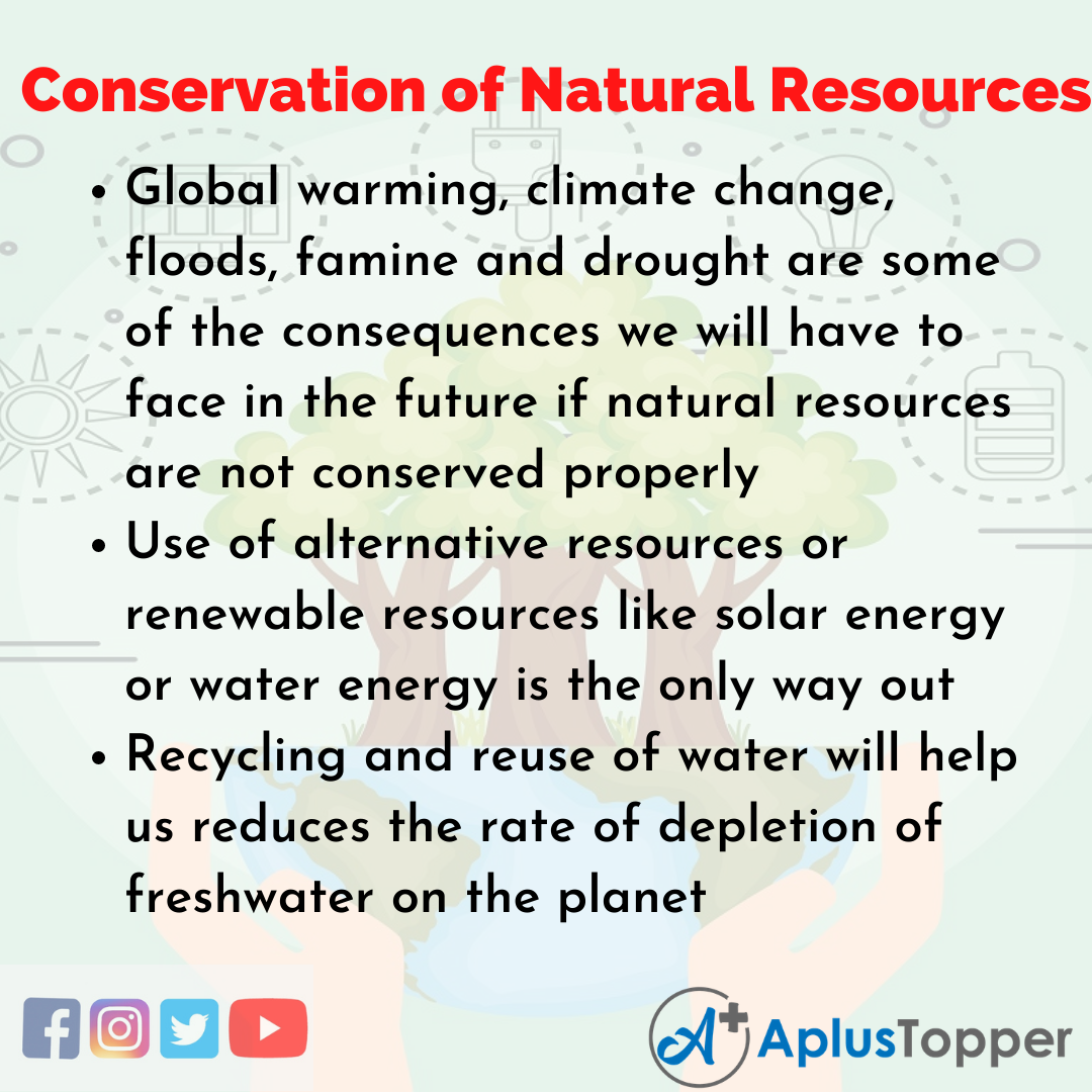 Essay for Conservation of Natural Resources