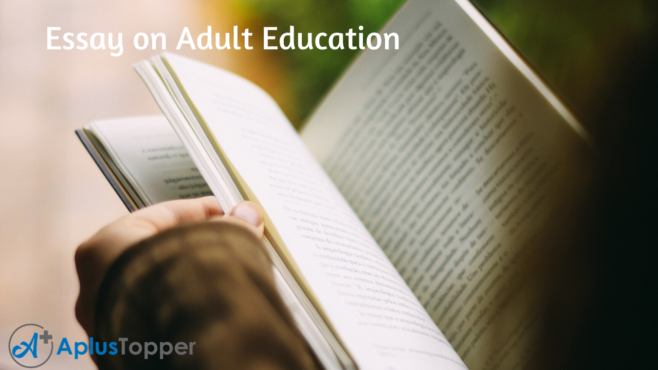 essay on adult learners