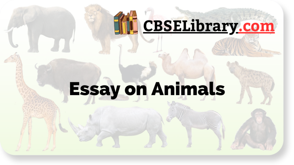 essay on animals for class 8