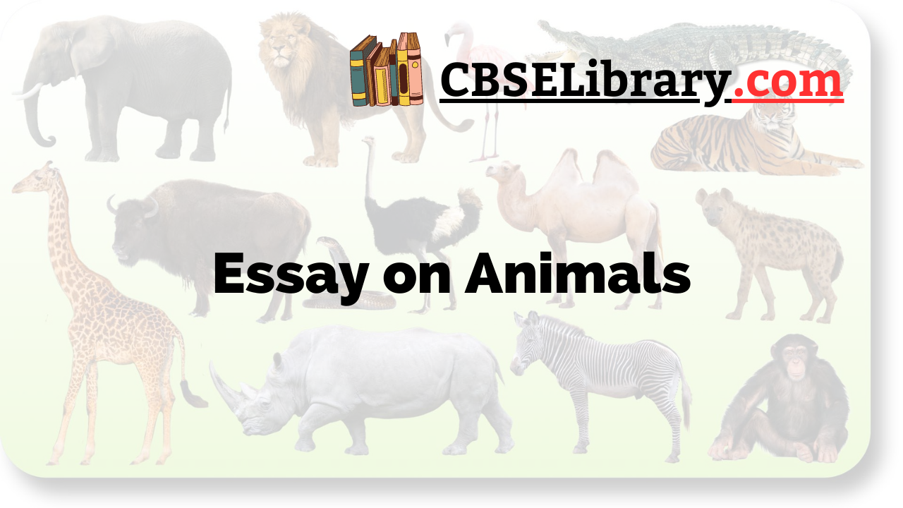the animals essay in english