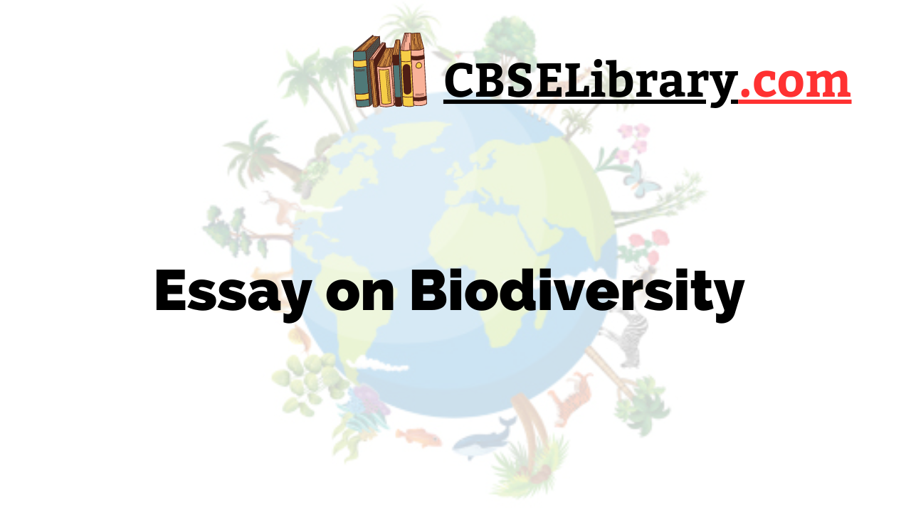 essay on biodiversity in english