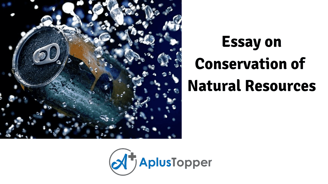 essay on prevention of natural resources