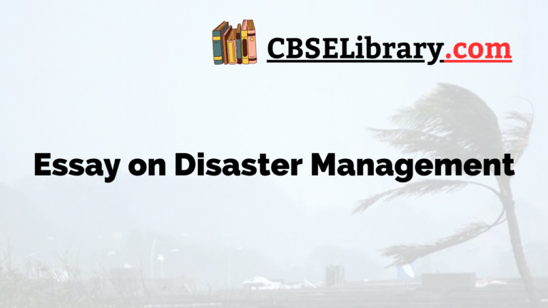 tsunami disaster management essay