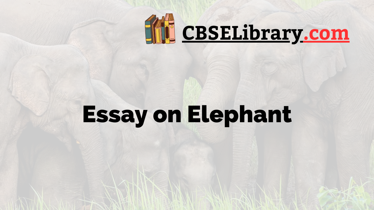 essay on elephant for class 6