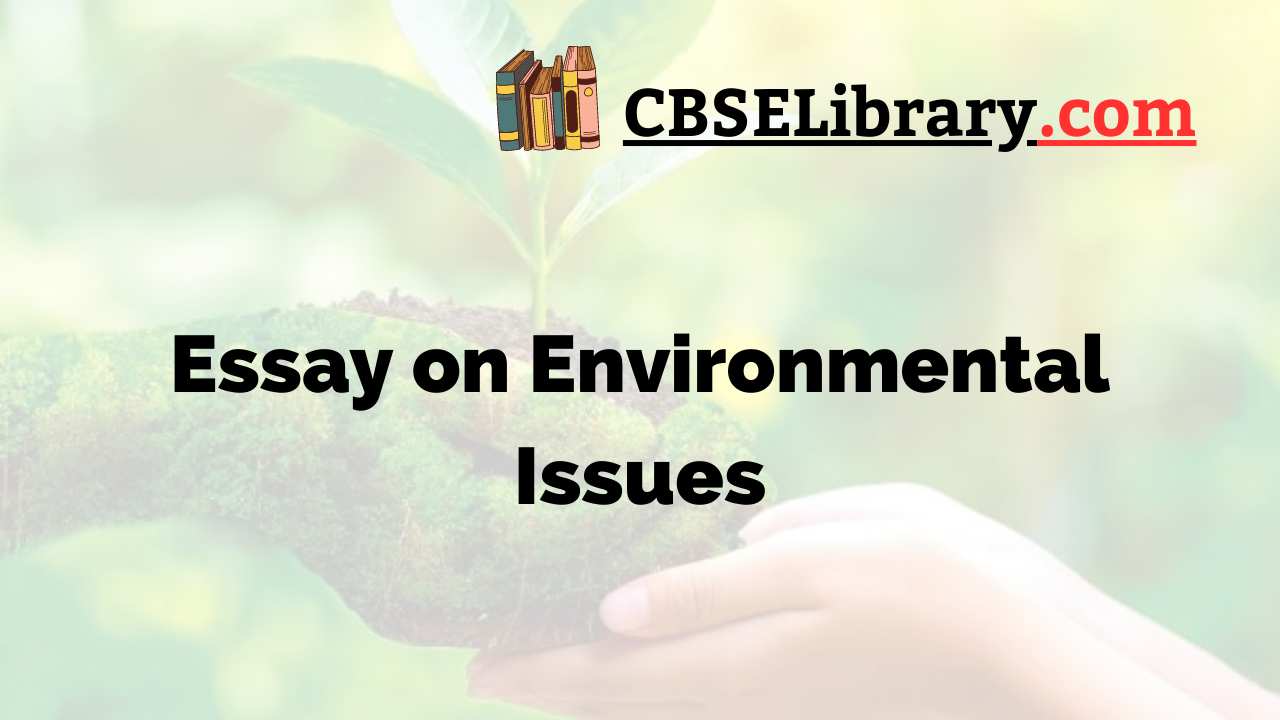 Essay on Environmental Issues