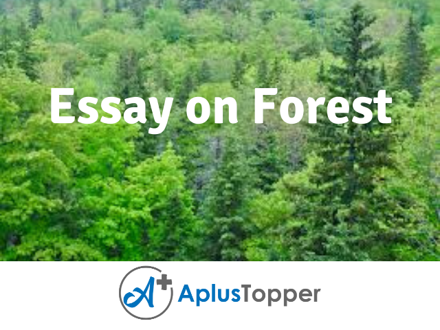 write essay on forest