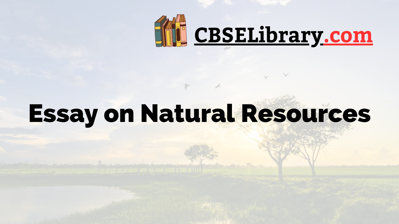 natural resources essay in english